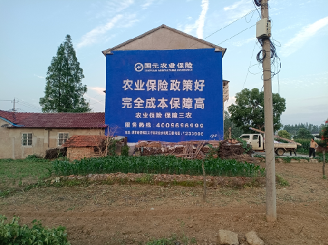 泗洪墙体广告的优劣势你知道吗？